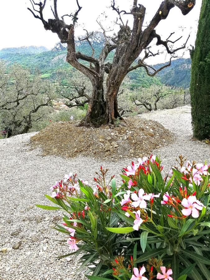 Le Mas Christiane Buis-les-Baronnies Exterior photo